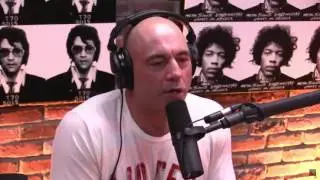 Joe Rogan on Donald Trump s 
