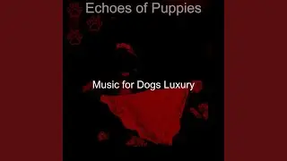 Relaxed Ambience for Lonely Dogs