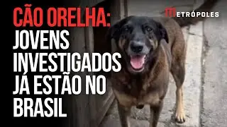 Jovens investigados por matar o c&atilde;o Orelha j&aacute; est&atilde;o no Brasil