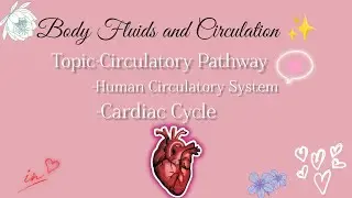 🚨Body Fluids And Circulation ✨• Topics covered • NEET 2026 • Important points • Notes 🫀✅•Ashu 