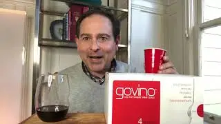 Govino Dishwasher Safe Wine Glasses 95 Points James Melendez #wineglass #wineglassreview