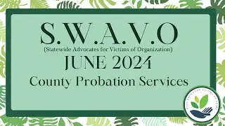 June 2024 SWAVO: County Probation