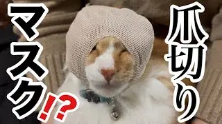 【3COINS】スリコで爪切りマスク買ってみたらこうなりました