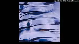 HCY - Second Bite 【SCOP&Aacute;VIK】