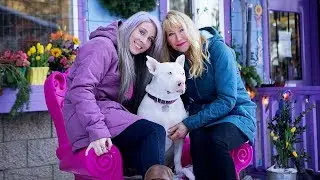 2018 Luvable Dog Rescue Innovation Showdown entry