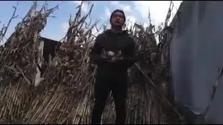 Ma&iacute;z ajo, Bryan Antonio Nicol&aacute;s.