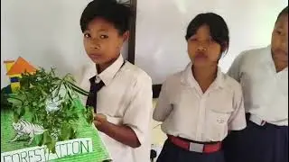 Deforestation Video 1