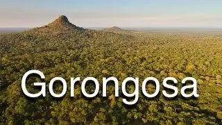 Gorongosa