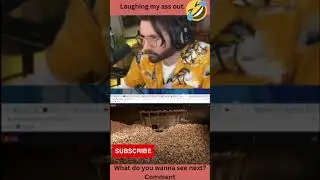 Don't laugh watching this!! | #shorts | #Memesnake