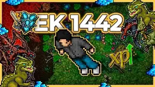 EK 1442 Hunt x4 Crystal Enigma (Hazard 10) 12.7kk/h Raw + 8.1kk Profit - Tibia Hunt [13.17] #tibia
