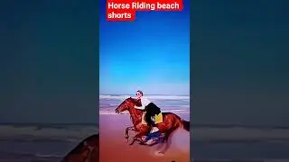 horse  running video | | horse race video | | #horse #animals #shorts