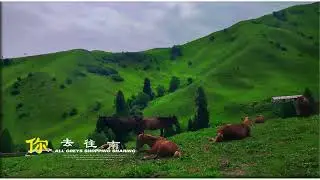Narat Grassland: Xinjiang&rsquo;s Undulating Green Paradise