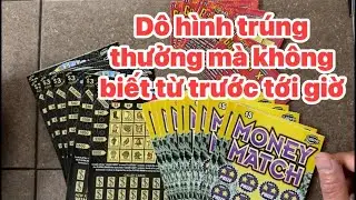 Chú Lam mới phát hiện có hình trúng mà không biết từ trước tới giờ 😬