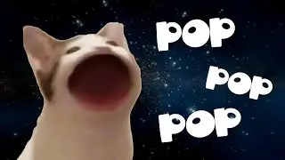 Popcat Meme Compilation