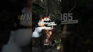 2026 소니 일력을 함께 만들어갈 특별한 여정! #MyAlpha365｜EP.6 베스트컷 ⑤