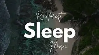 Rainforest Sleep Music Journey 🌧️ |  Pure Jungle Rain & Night Ambience on repeat