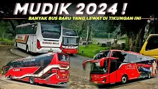 ramainya bus bagaikan semut keluar dari sarangnya || tikungan watangsono jatisrono wonogiri