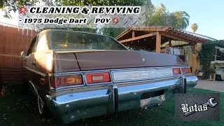 How to clean & revive classic car POV