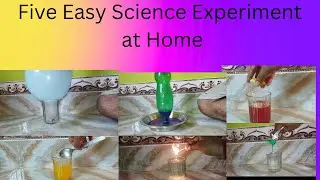 Five Easy Science Experiments at Home// Experiment for kids/ Science Experiment/ Experiment/Science