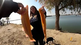 Buena Vista Trout Opener 2022 part 2