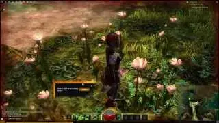 Guild Wars 2 BWE3 (4) - Sylvari - The Grove part 1