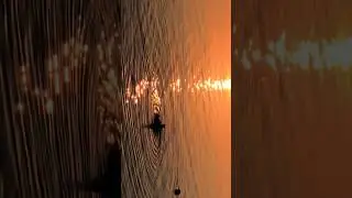 Поплавков в виде человека, чуть не утонул! Будьте аккуратно!#see #news #новости #shorts #video #top