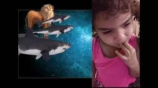 sextovideoClass