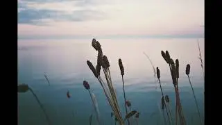 Fionn Regan - TWO SIDES (Official Video)