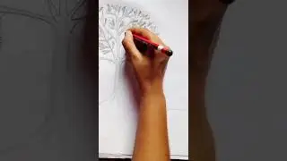 How to draw a park Bench Drawing #easydrawing #treedrawing #pencildrawing #sorts#vidio ✍️✍️