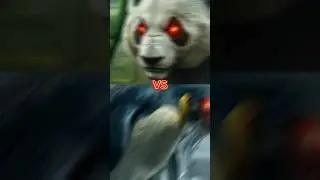 PANDA VS PENGUIN VS WOLF#panda #wolf#animals #shorts