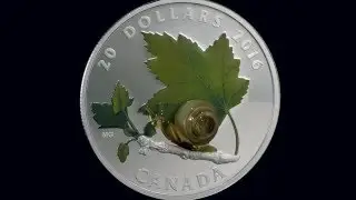 1 oz. Fine Silver Coin &ndash; Venetian Glass Snail