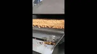 Peanut Fryer Equipment,Frying Production Line,Peanuts Frying Process Line,Fully Automatic Fryer
