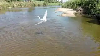 Чонан с высоты