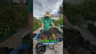 Growing Potatoes Vertically in a Potato Tower- RESULTS
