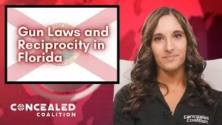 2022 Gun Laws and Concealed Carry Reciprocity in Florida