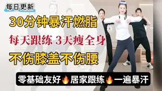 30分钟暴汗燃脂，预防老化甩脂肪 | 有氧+无氧  站立无跑跳 | 瘦肚子瘦侧腰瘦全身 | 零基础 居家跟练