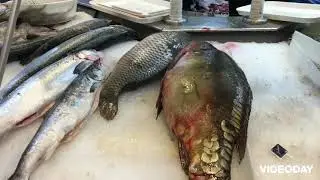 Buying meat and fish from Indoor market Bullring Birmingham Uk