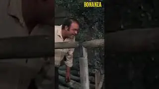 Купание Шорти #бонус #собаки #щенки