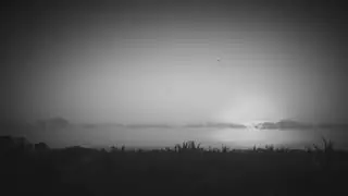 Arconic - Dawn