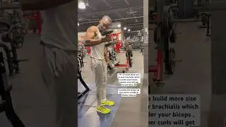The Reason Why Hammer Curls Is Important On Arm Day 🦾. #fitness #armworkout #selfimpovement