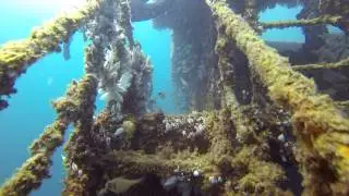 Lena Wreck Dive Bunbury