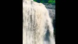 Ashoka Waterfall | #ashokawaterfall #famouswaterfalls #kasara #travel #nature #rain