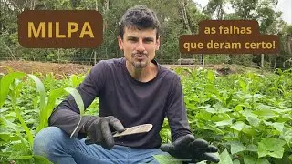 Mesmo quando o MILPA falha, o solo agradece! Plantamos para nós - e para a vida do solo!