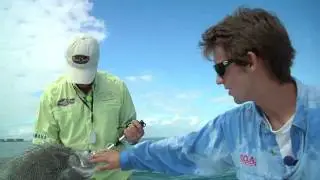 Florida Adventure Quest presents, Catching Big Tripletail.mov