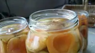 Bottling Summer Fruits