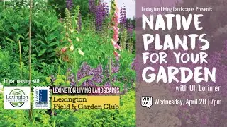Native Plants for Your Garden with Uli Lorimer (4/20/22)