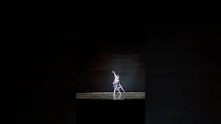 from Zalman Raffael&rsquo;s &ldquo;Book of Contradictions&rdquo;🪁 #ballet #balletdancer #professionalballerina