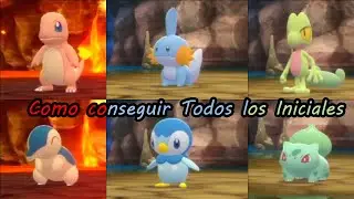 Donde encontrar los iniciales mas facil en Pokemon diamante brillante y pokemon perla reluciente
