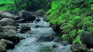 Relaxing Mountain Stream Sounds &ndash; White Noise for Deep Sleep, Focus & Study