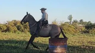 😱‼️CABALLO PELIGROSO Y DURO DE BOCA/ 😱 INCREÍBLE  TRANSFORMACIÓN ✅️#caballos